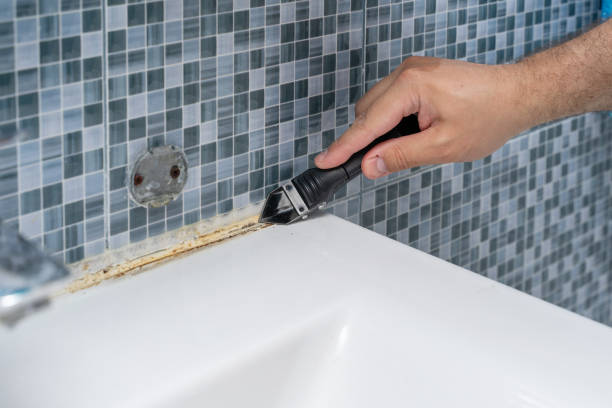 Best Black Mold Removal  in Andrews, TX