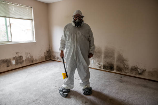 Best Residential Mold Removal  in Andrews, TX